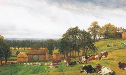 Vee en schapen op de Old Park Farm